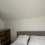 Forest Nad Morzem Ciekocino