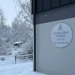 Forest Nad Morzem * Ciekocino