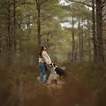 Forest Nad Morzem *