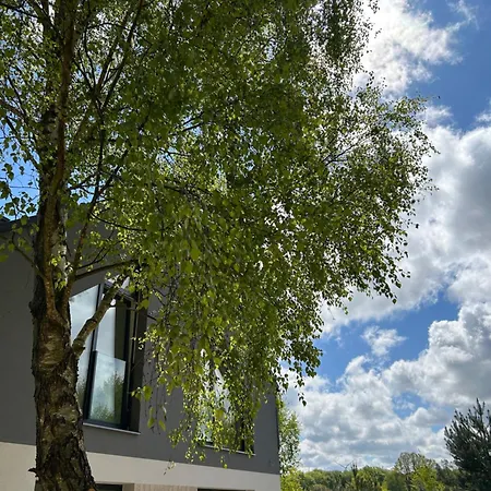 Forest Nad Morzem * Ciekocino