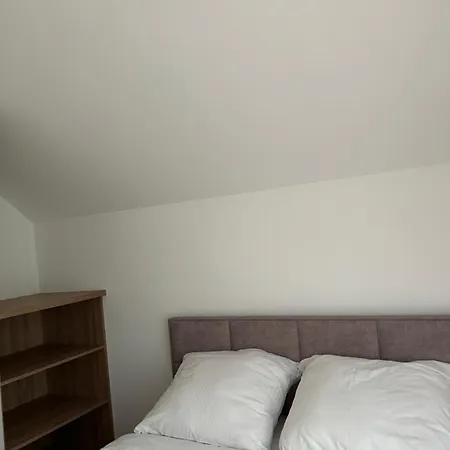 Forest Nad Morzem Ciekocino