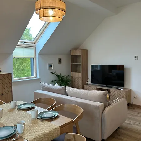 Forest Nad Morzem * Ciekocino