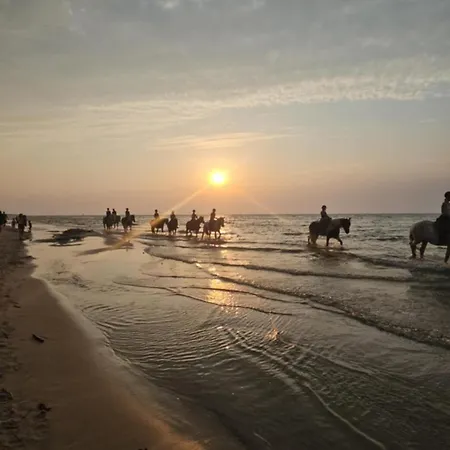 アパート Forest Nad Morzem Ciekocino