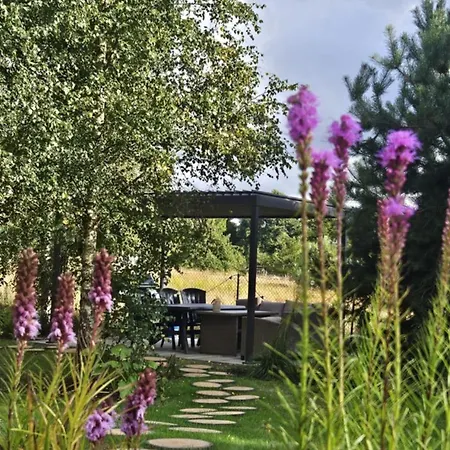 Forest Nad Morzem * Ciekocino