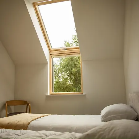 Forest Nad Morzem Ciekocino