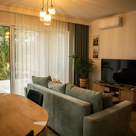 Forest Nad Morzem Ciekocino