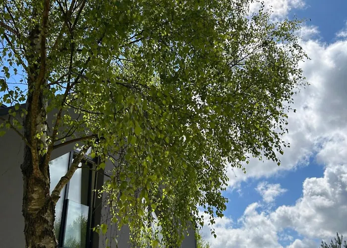 Forest Nad Morzem * Ciekocino