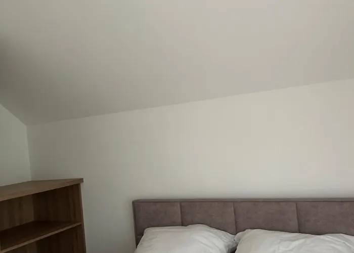 Forest Nad Morzem Ciekocino