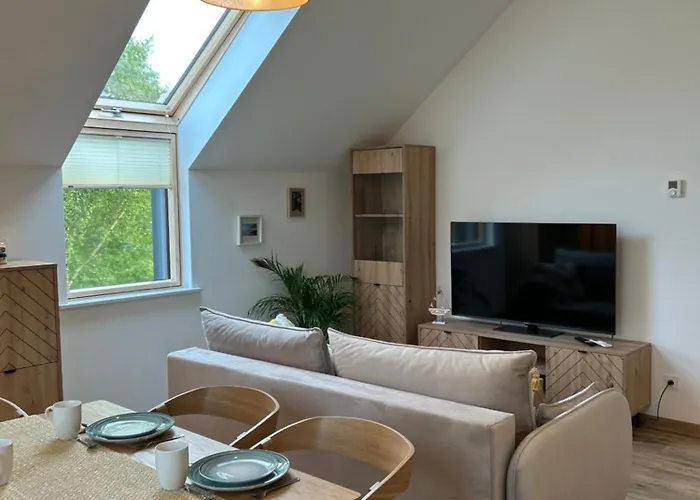 Forest Nad Morzem * Ciekocino