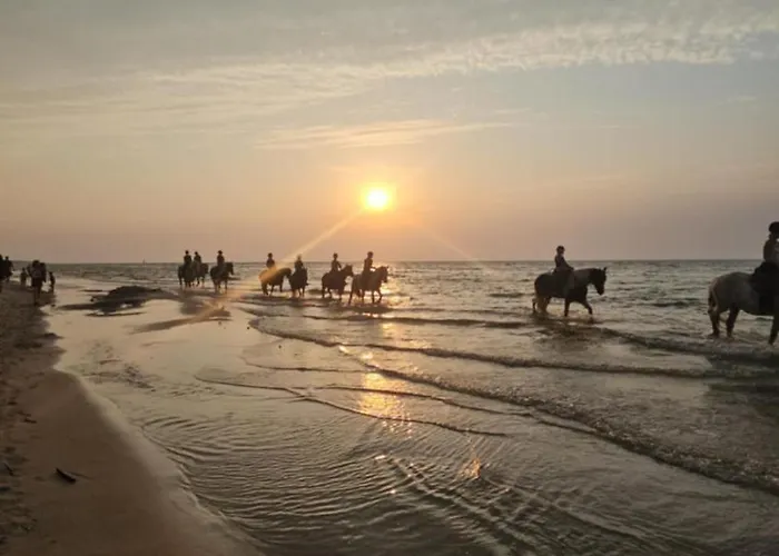 Apartament Forest Nad Morzem Ciekocino