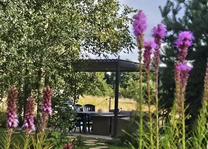 Forest Nad Morzem * Ciekocino