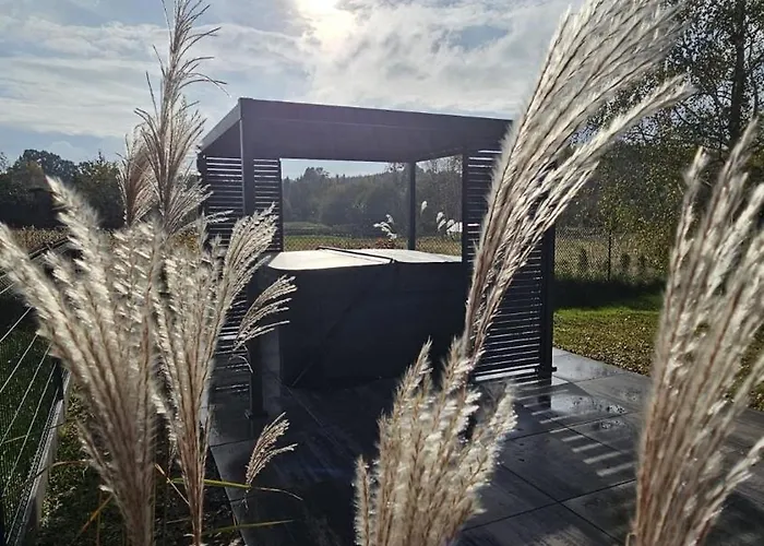 Forest Nad Morzem * Ciekocino