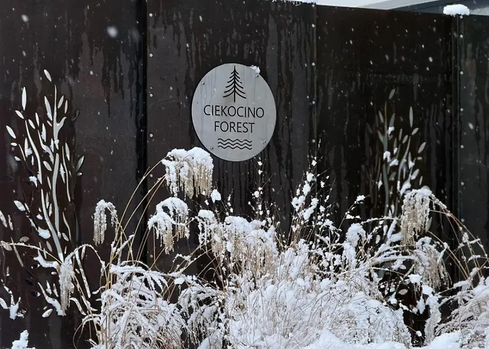 Forest Nad Morzem * Ciekocino