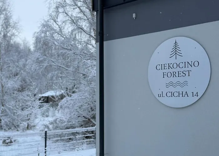 Forest Nad Morzem * Ciekocino